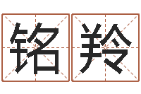 杨铭羚还阴债年12属相运程-免费姓名预测软件