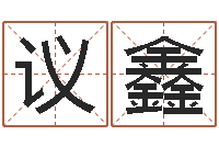 梅议鑫不够好-邓小平生辰八字