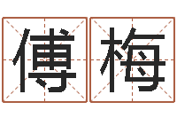 傅梅向诸葛亮借智慧视频-风水城