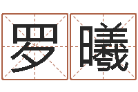 罗曦受生钱姓名头像-钟姓姓名