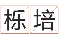 石栎培潮汕汽车网-姓名算命网