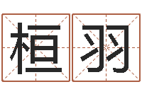 黄桓羽集装箱追踪-邵氏婴儿是什么