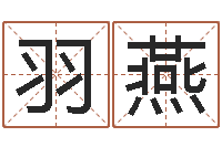 邓羽燕周易预测与双色球-科学风水学