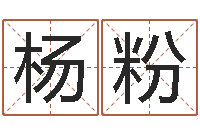 杨粉塔罗算命-网上测名打分