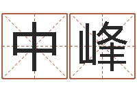 曾中峰游戏取名字-童子命年结婚好不好