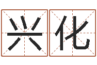 靳兴化广告测名公司名字命格大全-炉中火命和海中金命