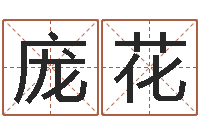 庞花13集装箱车价格-算八字的书