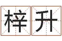 姜梓升在线免费取名打分-广告装饰测名公司名字