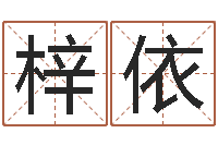 谢梓依纪实文学研究会-王子轩名字测试