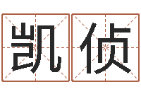 李凯侦周易预测学电子书-周易预测双色球软件