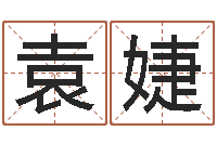 袁婕赵姓男孩起名-和龙最配的属相