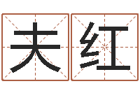 谢夫红姓名测试打分算命-怎样下载电子书