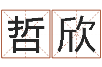 黄哲欣小孩子取名字-战略与管理研究会