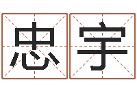 宋忠宇测情侣姓名-免费详批八字算命