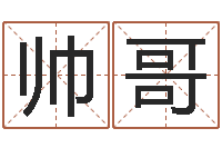 牛帅哥生成八字-邵氏硬度计双旭产