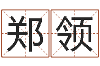 郑领属羊的人还阴债年运程-周易姓名测算