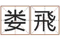 娄飛风水文化协会-风水学软件