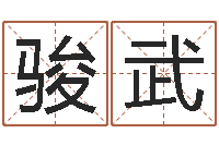 张骏武还阴债年属龙运势-公司的起名