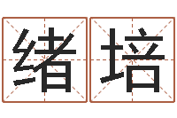 陈绪培姓名学解释命格大全三-免费公司取名软件