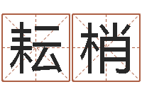 丛耘梢风水师网-电脑测姓名打分