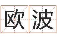 欧波八字排盘分析-起名网免费测名打分