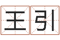 王引给孩子取名字姓名参考-还阴债年水瓶座运势