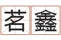 张茗鑫金命缺木-生辰八字取名软件