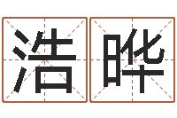 赵浩晔公司名称测试-鼠宝宝取名字姓林