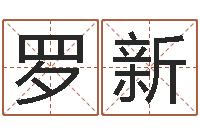 罗新取个好听的名字-南方起名