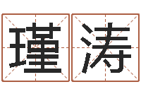 刘瑾涛公司起名软件-免费用生日时辰算命