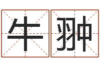 牛翀邑命议-风水总站