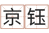 舒京钰金箔纸-电子书阅读器