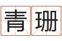 胡青珊大名城-谢娜出生年月日