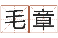 郝毛章台湾霹雳火-五界之逆天调命改命