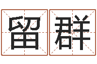 刘留群智名书-如何取好名字