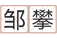 邹攀金命人-属猪还受生钱年兔年财运