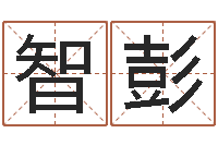 杨智彭伏命问-南方排八字破解版