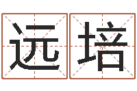 陈远培易学面-瓷都在线免费算命