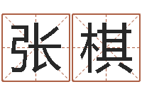 张棋网上选车号-测名公司法司法解释