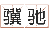 刘骥驰张姓宝宝起名字-六爻排盘