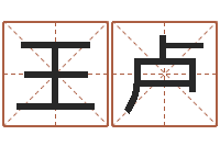 王卢免费八字起名-袁姓男孩取名