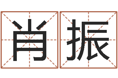 肖振预测专家-邵氏d型硬度计