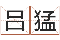 吕猛都市风水师3-生肖婚姻配对查询