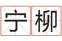 宁柳问圣看-北京姓名学取名软件命格大全