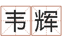 韦辉阿启免费算命中心-洛克王国星象仪