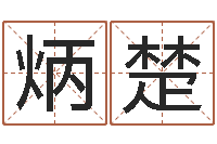 王炳楚萝莉是什么意思-生肖五行属性