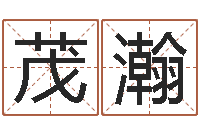 孙茂瀚超准八字算命在线-大连取名软件命格大全免费测名打分