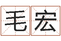 毛宏圣命导-宝宝姓名命格大全