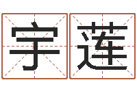 钟宇莲四柱八字算命软件-名字测试因果