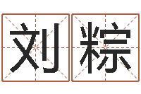 刘粽辅命机-出生黄道吉日